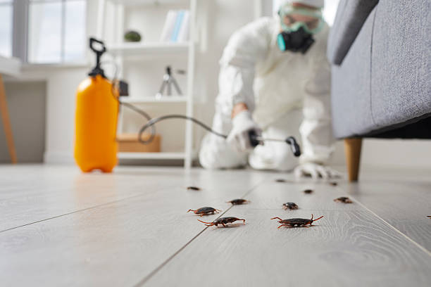 Trusted Fumigation Services service in Monte Vista, CO - Nex Pest Control