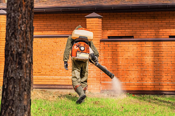 Trusted Mosquito Control service in Monte Vista, CO - Nex Pest Control